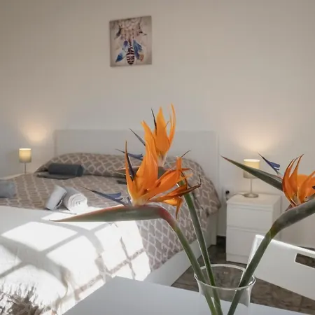 Vistalroque 2* アロナ